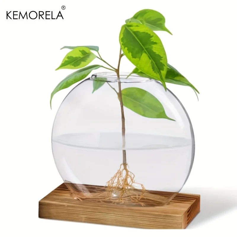 Hydroponic Glass Planter with Wood Stand – Indoor Desk Decor - Image 4