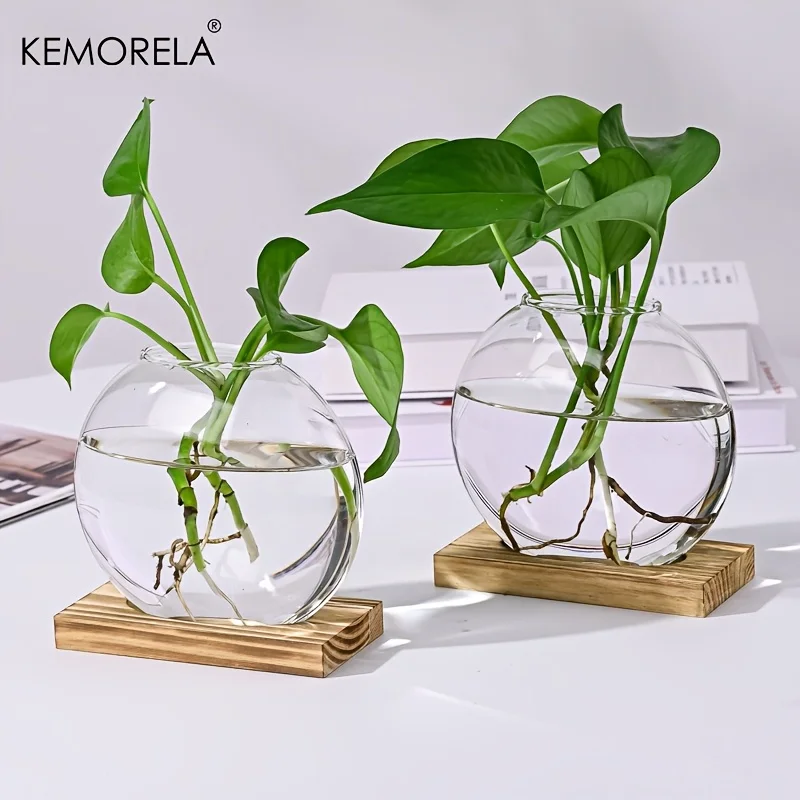 Hydroponic Glass Planter with Wood Stand – Indoor Desk Decor - Image 2